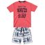 10487_3431_conjunto